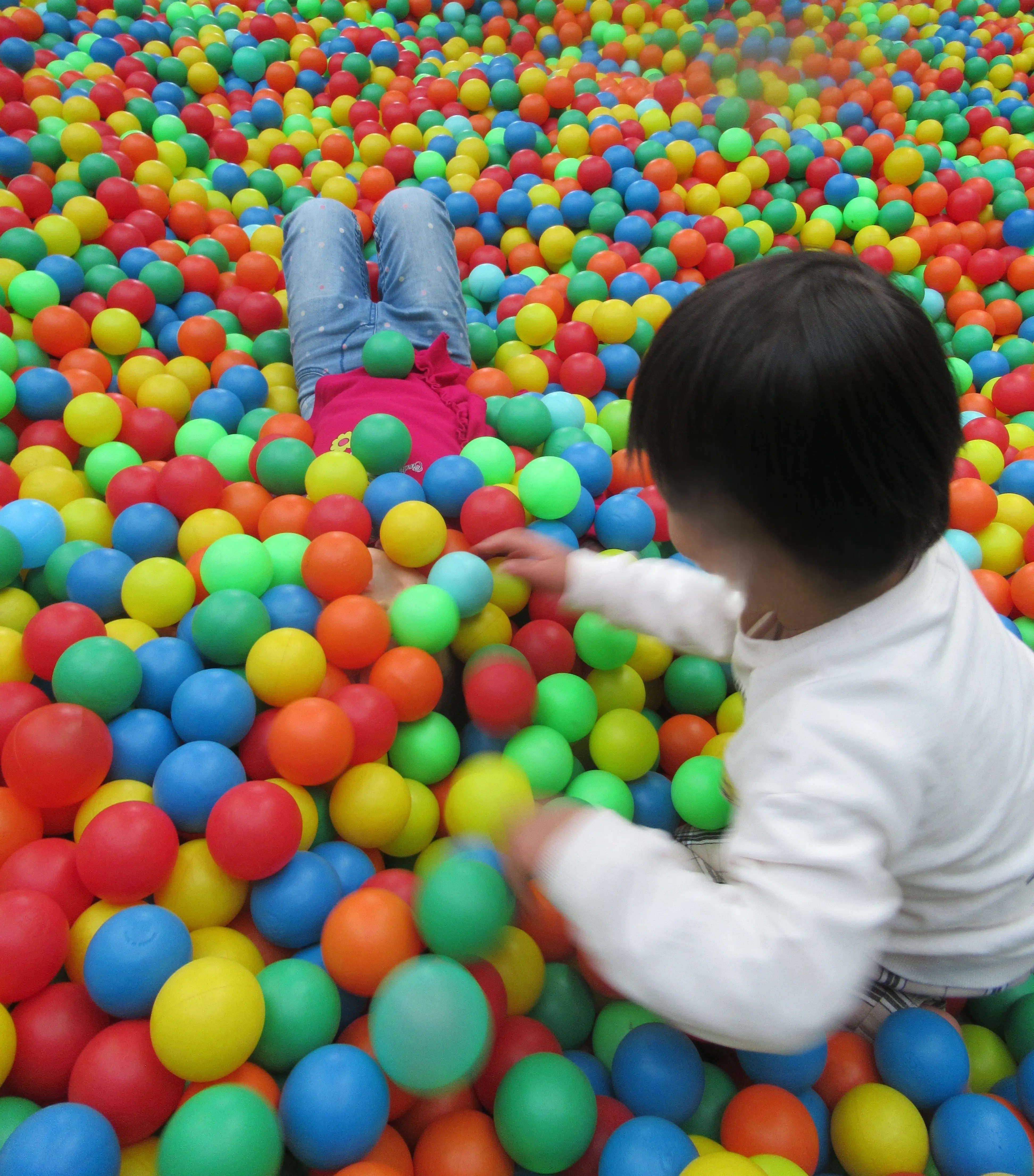 親子遠足の様子2